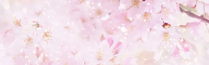 ���ﻨ�㰮����������-������