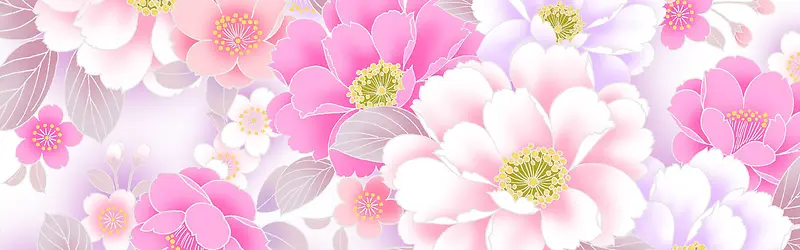 ���ﻨ�㰮����������-������