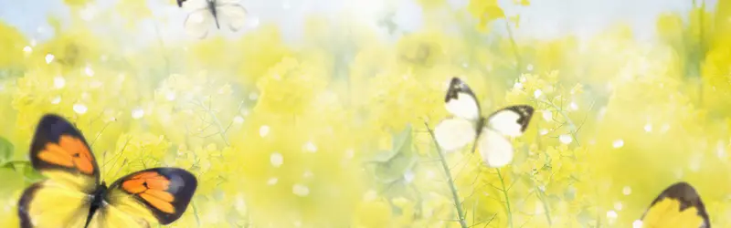 ���ﻨ�㰮����������-������