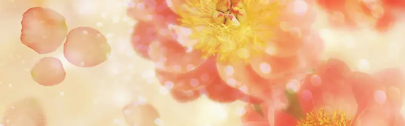 ���ﻨ�㰮����������-������