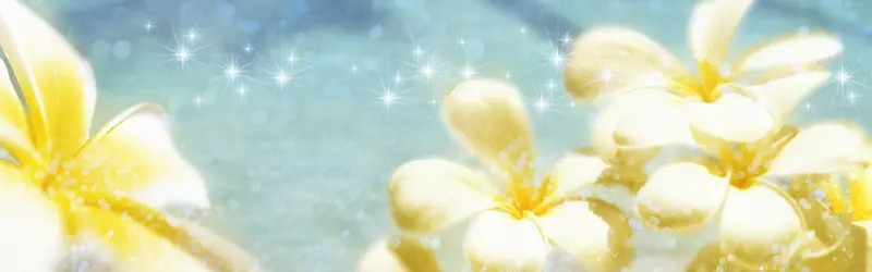 ���ﻨ�㰮����������-������