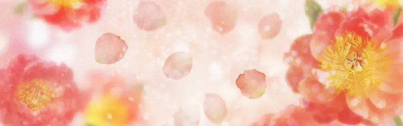 ���ﻨ�㰮����������-������