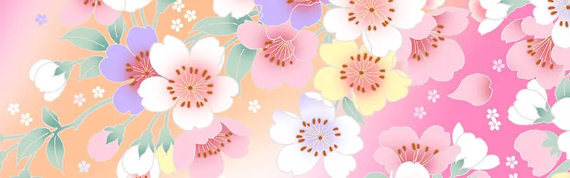 ���ﻨ�㰮����������-������