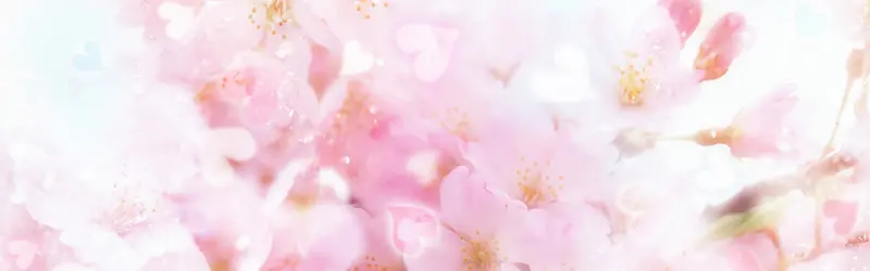 ���ﻨ�㰮����������-������