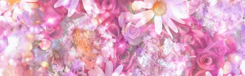 ���ﻨ�㰮����������-������