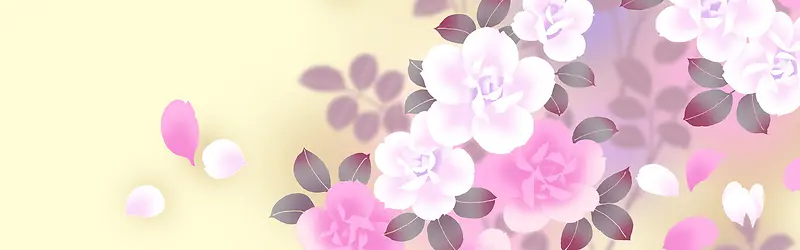 ���ﻨ�㰮����������-������