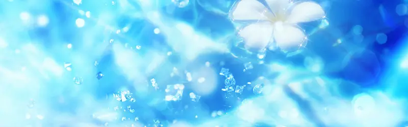 ���ﻨ�㰮����������-������