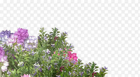 ���ݱ���-������