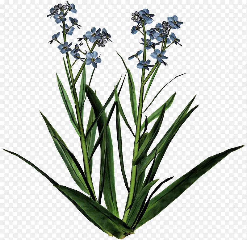 ޹�²�-������