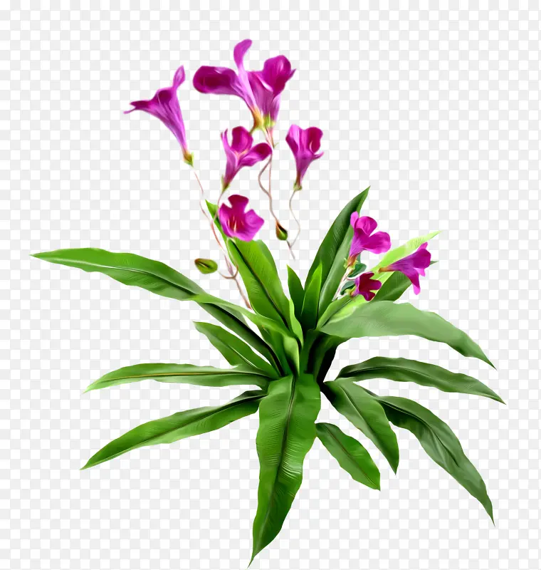 �����ز�ʸ�������ز�-������