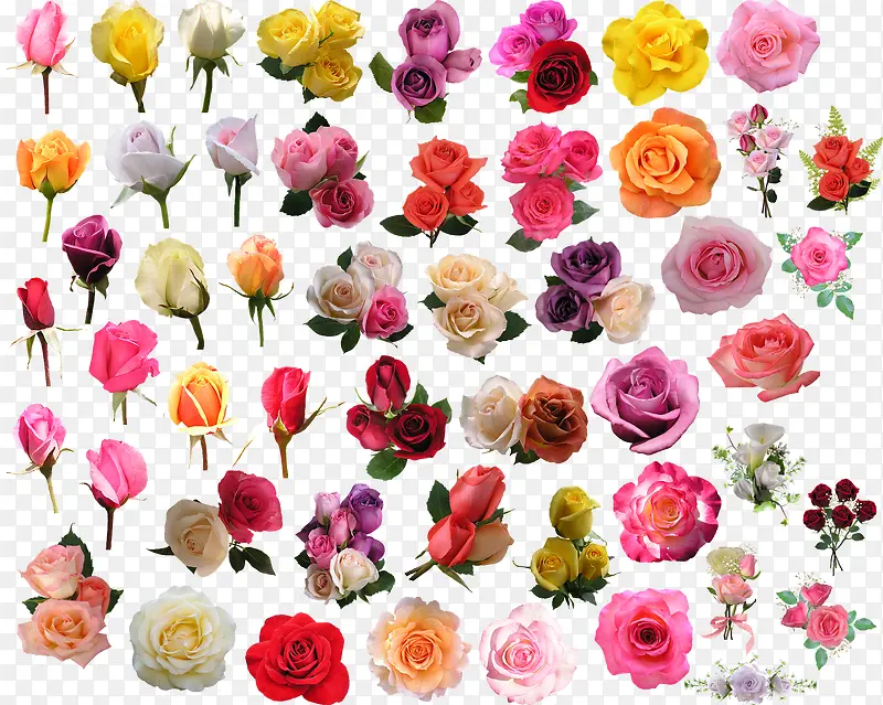 ʸ�������زĻ���ͼ���ز�-������