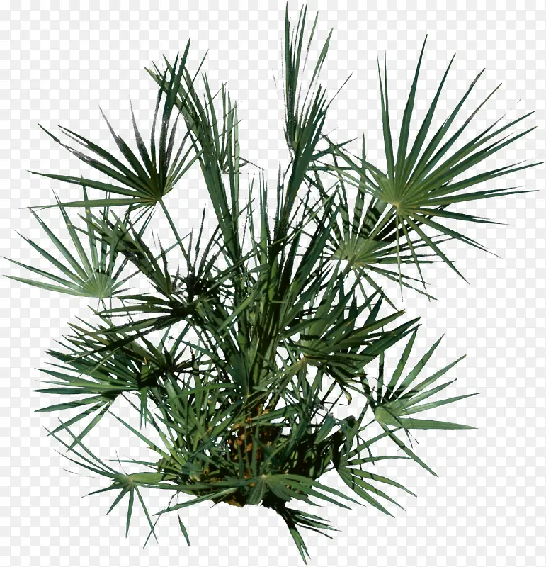 ֲ�ﻨ���ز���仨��-������