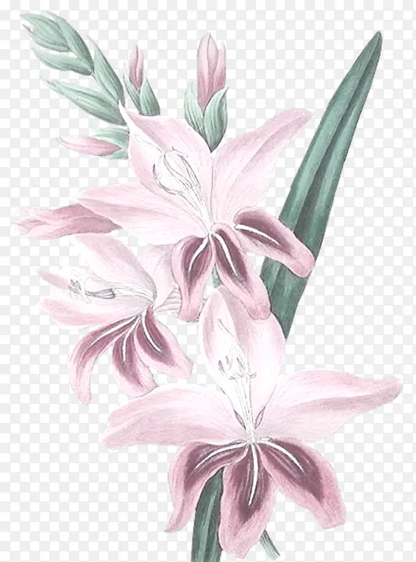 װ��ͼƬ�ز�ˮ�ʻ����ز�-������