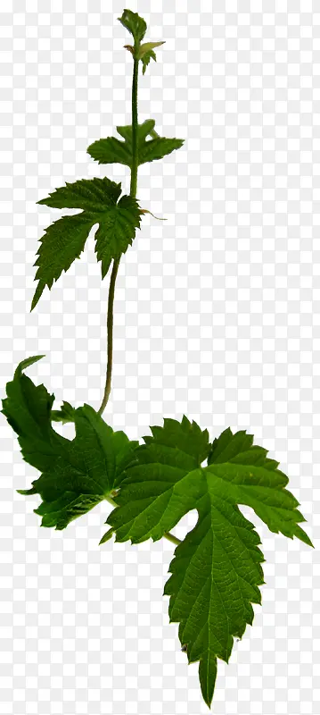 ˮ�ʻ��ܻ���ͼ���ز�-������