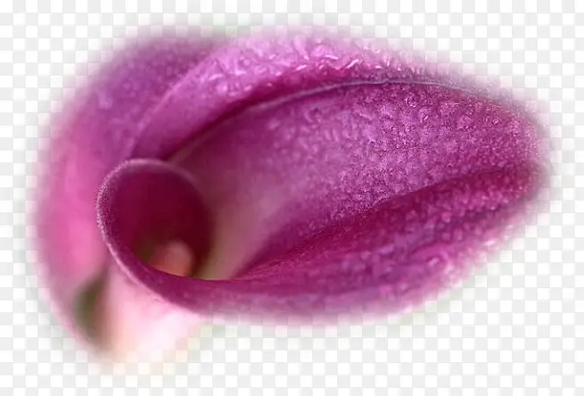 ˮ�ʻ����زĻ���ͼ���ز�-������