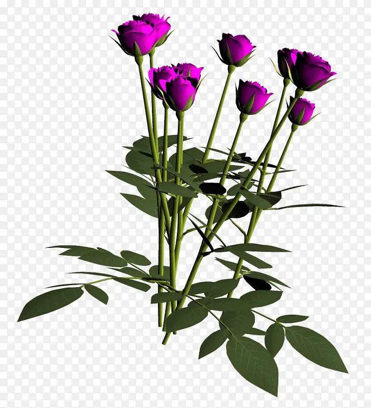 ����ps�زĻ���ͼ��-������