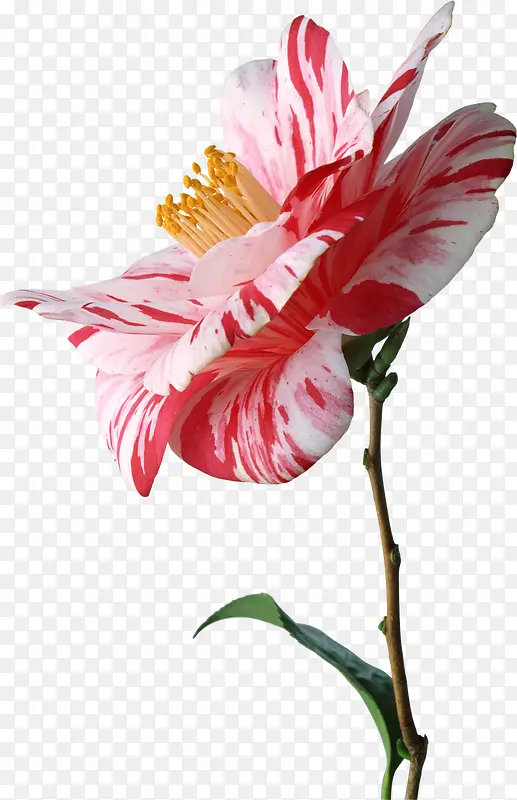 ����ͼ���ز�ˮ�ʻ���-������