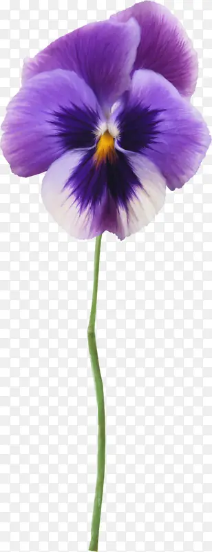 ����ͼ���زĻ���ͼ���ز�-������