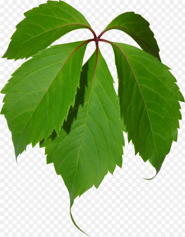 װ��ͼ������ps�ز�-������