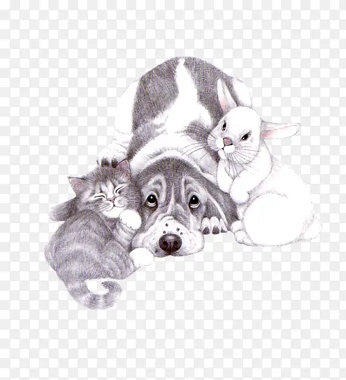 ����ͼ������ps�ز�-������