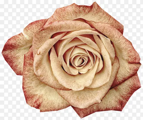 װ�ο�ͨ����ʸ���ز�-������