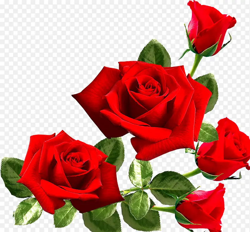 ����ps�ز�ps�����ز�-������