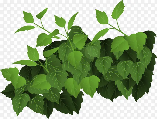 �̲�-������