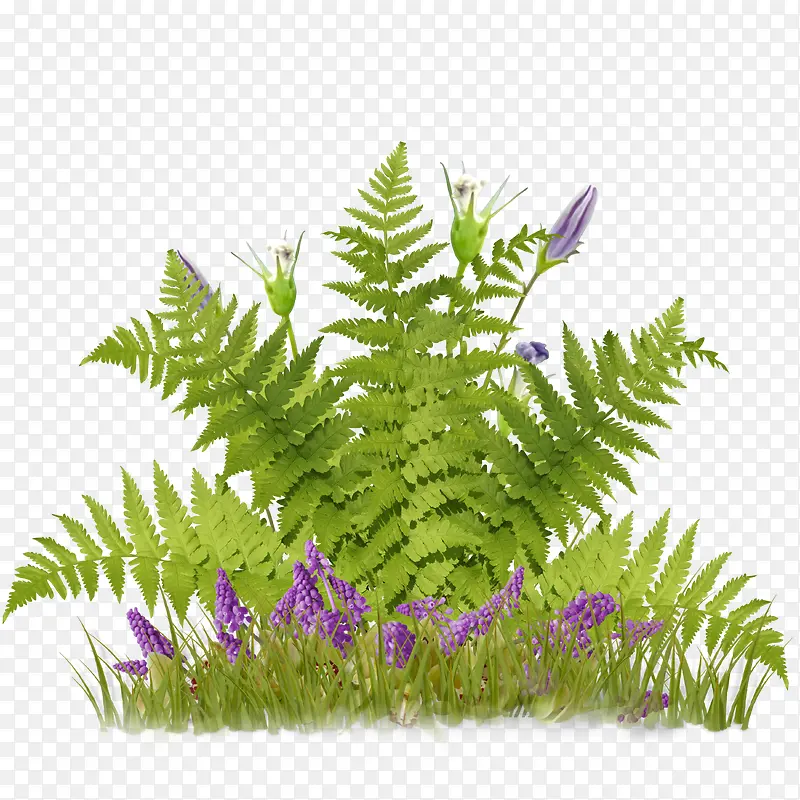 �̲�-������