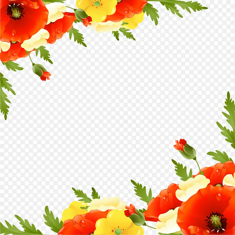 ����߿�-������