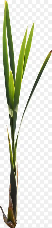 �̲�-������