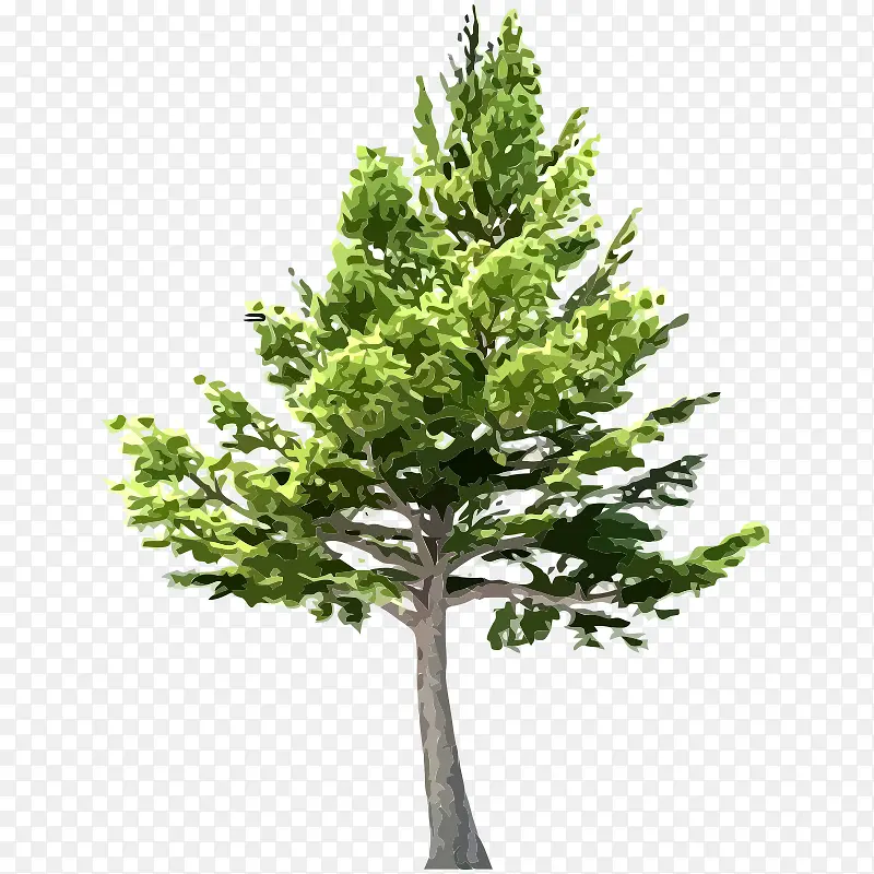 �� ��ľ ľ ֲ��-������