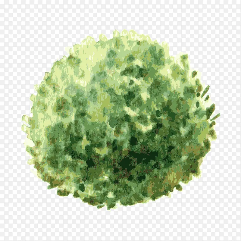 �� ��ľ-������