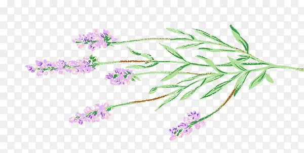 ������-������