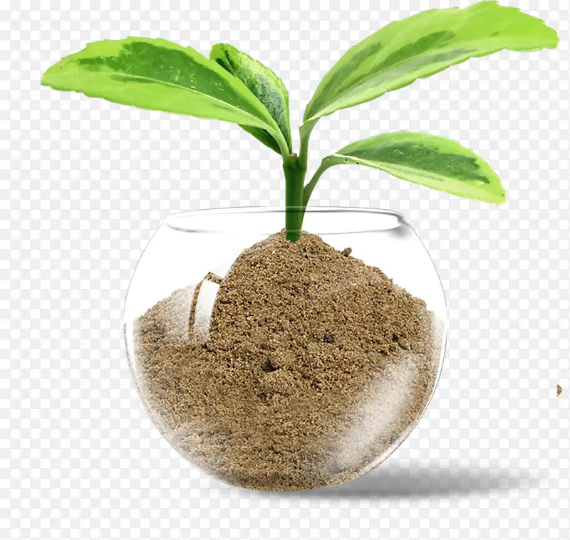 ���Ż��ݵĲ���ƿ-������