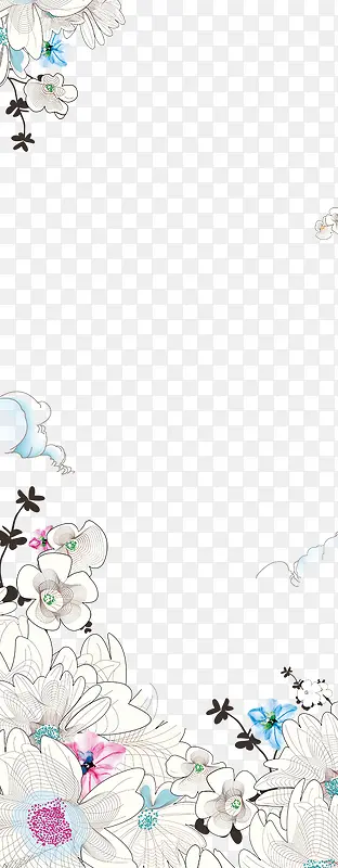 ���䱳��-������