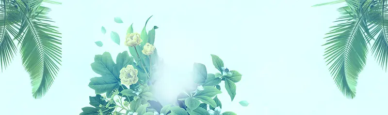 ֲ�ﱳ�������䣬����-������