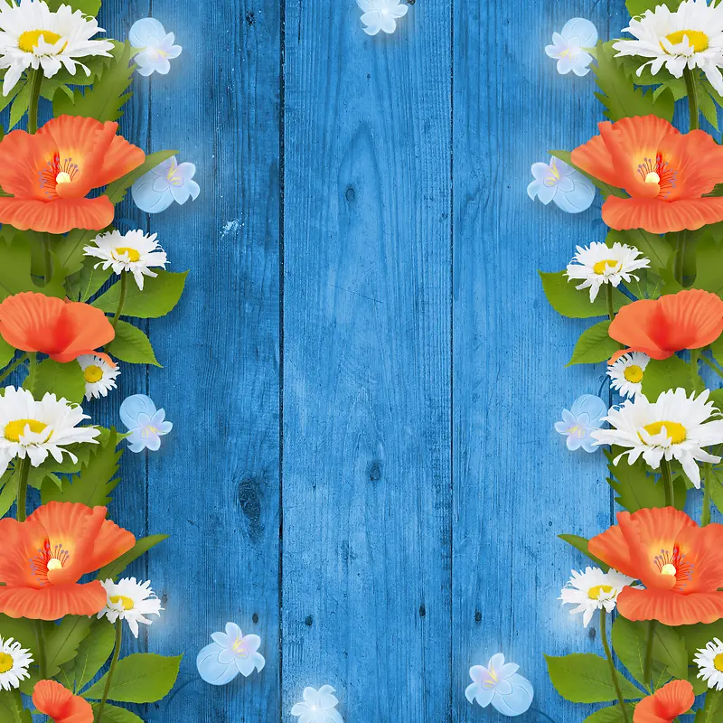 �ʻ�����-������