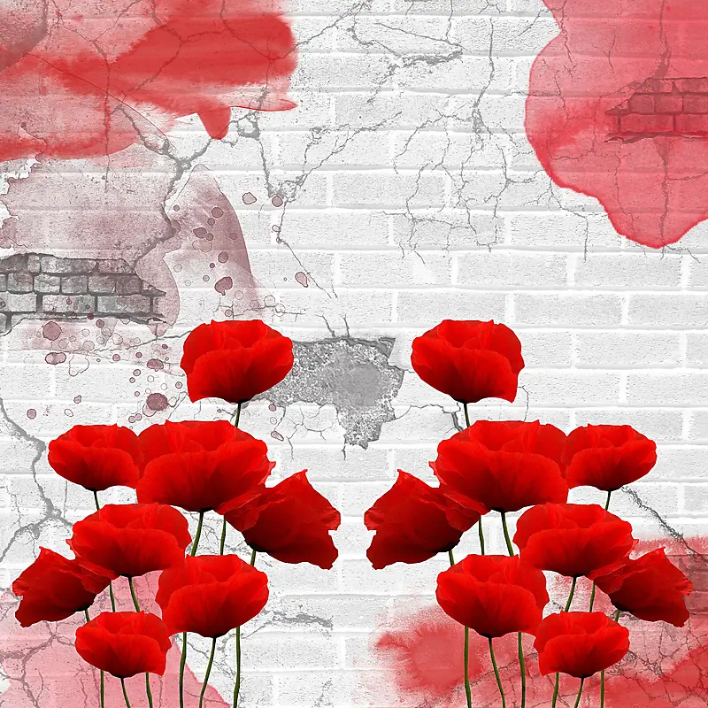 ����ǽ���ʻ�����-������