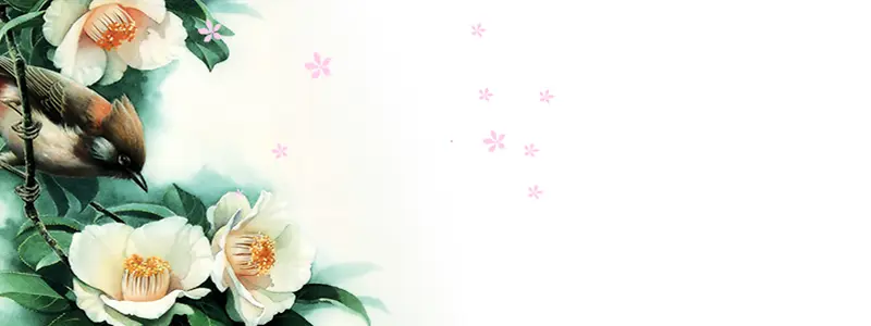 ���䱳��-������