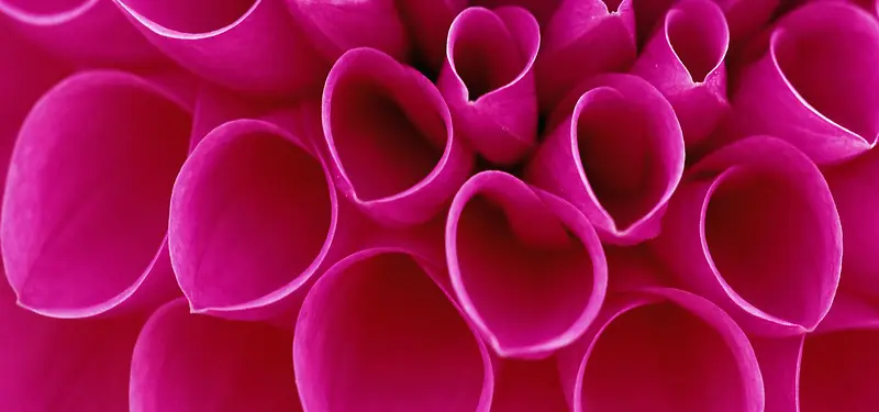 ��Ӱ����-������