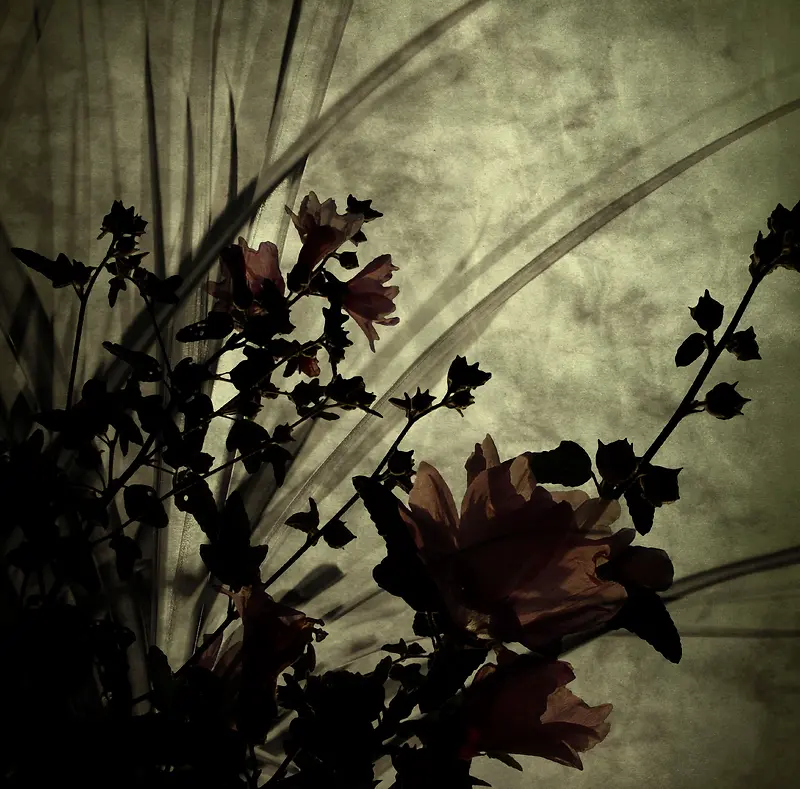 ���ɻ��䱳��-������