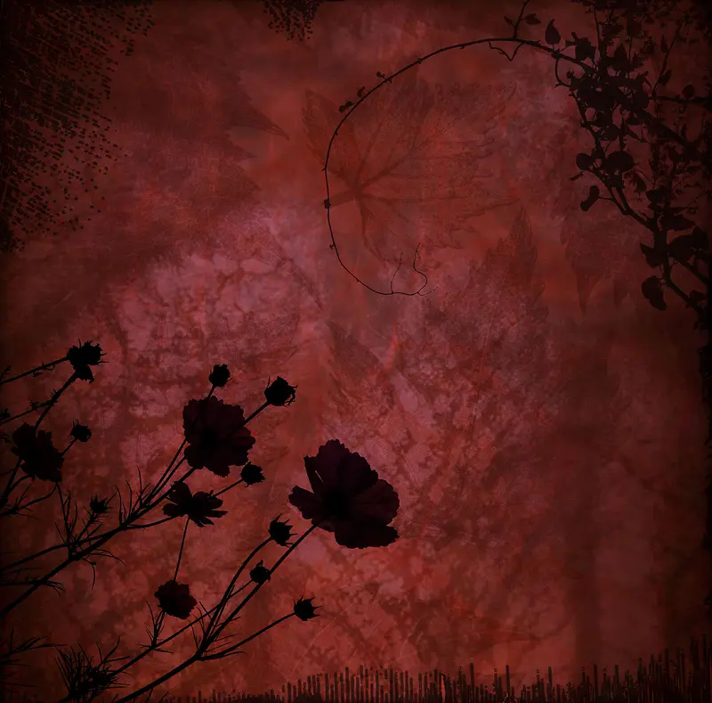 �����ʻ�����-������