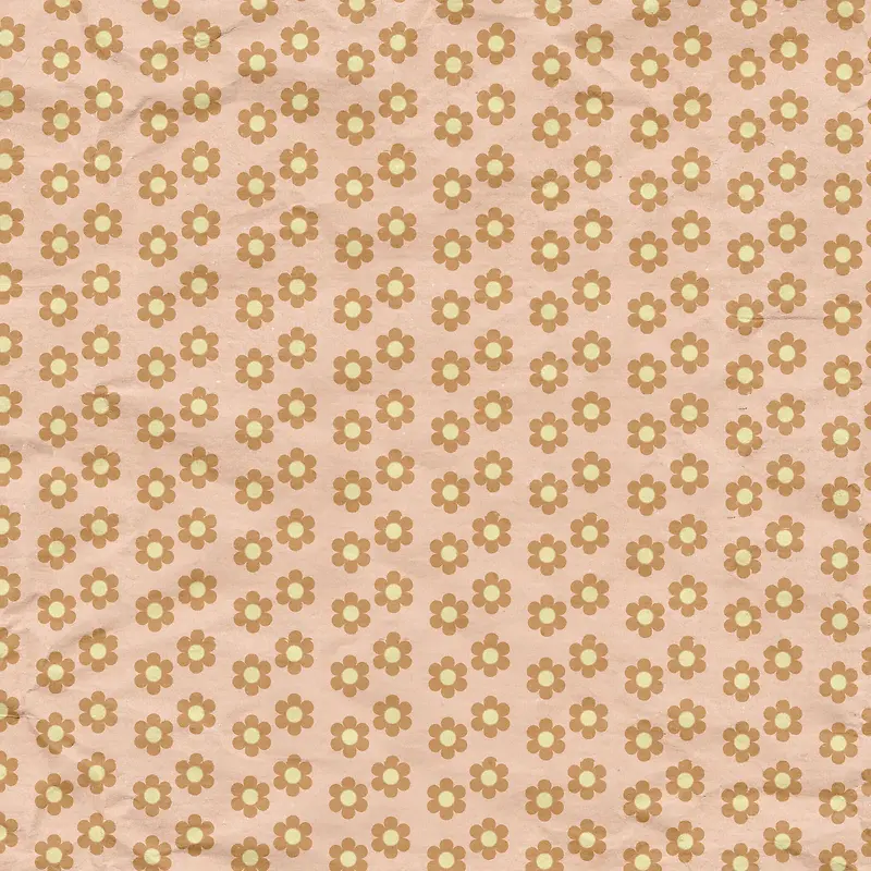 ���䱳���ز�-������