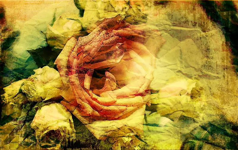 ���Ż��䱳��-������