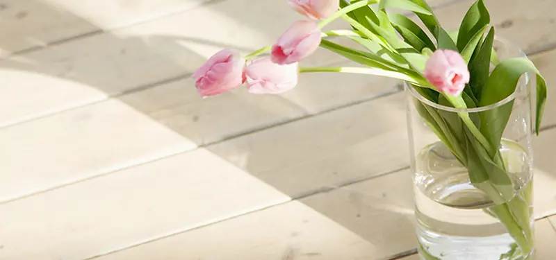 Ψ������-������