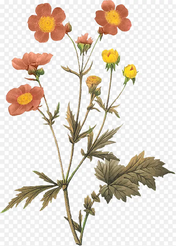 ��ɫ�Ŀɰ�С����-������