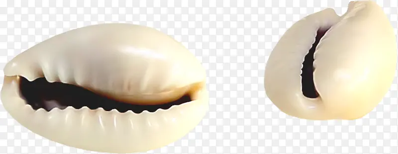 ���Ű�ɫ�ı���-������