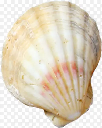 ��ɫ���Ͽ��ڱ���-������