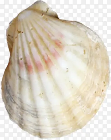 ��ɫ���¿��ڱ���-������