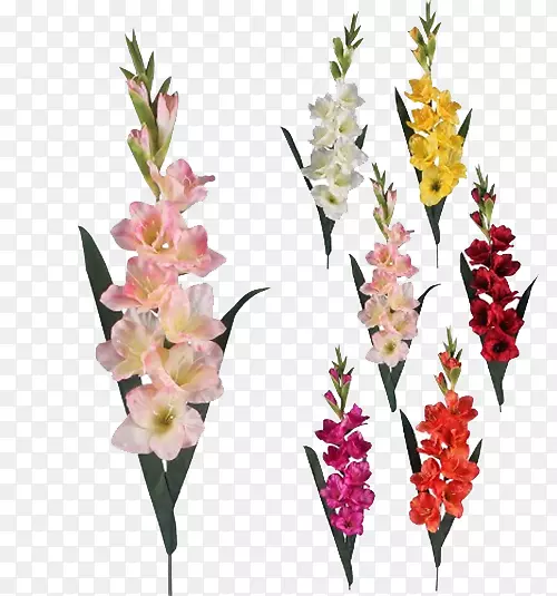 �������˹�����-������͸������-������